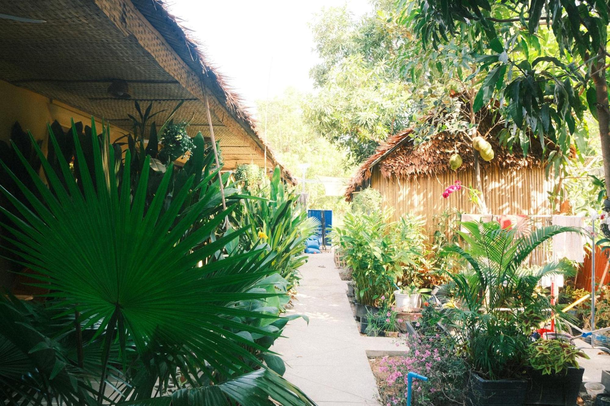 Siem Reap Homesteading ภายนอก รูปภาพ