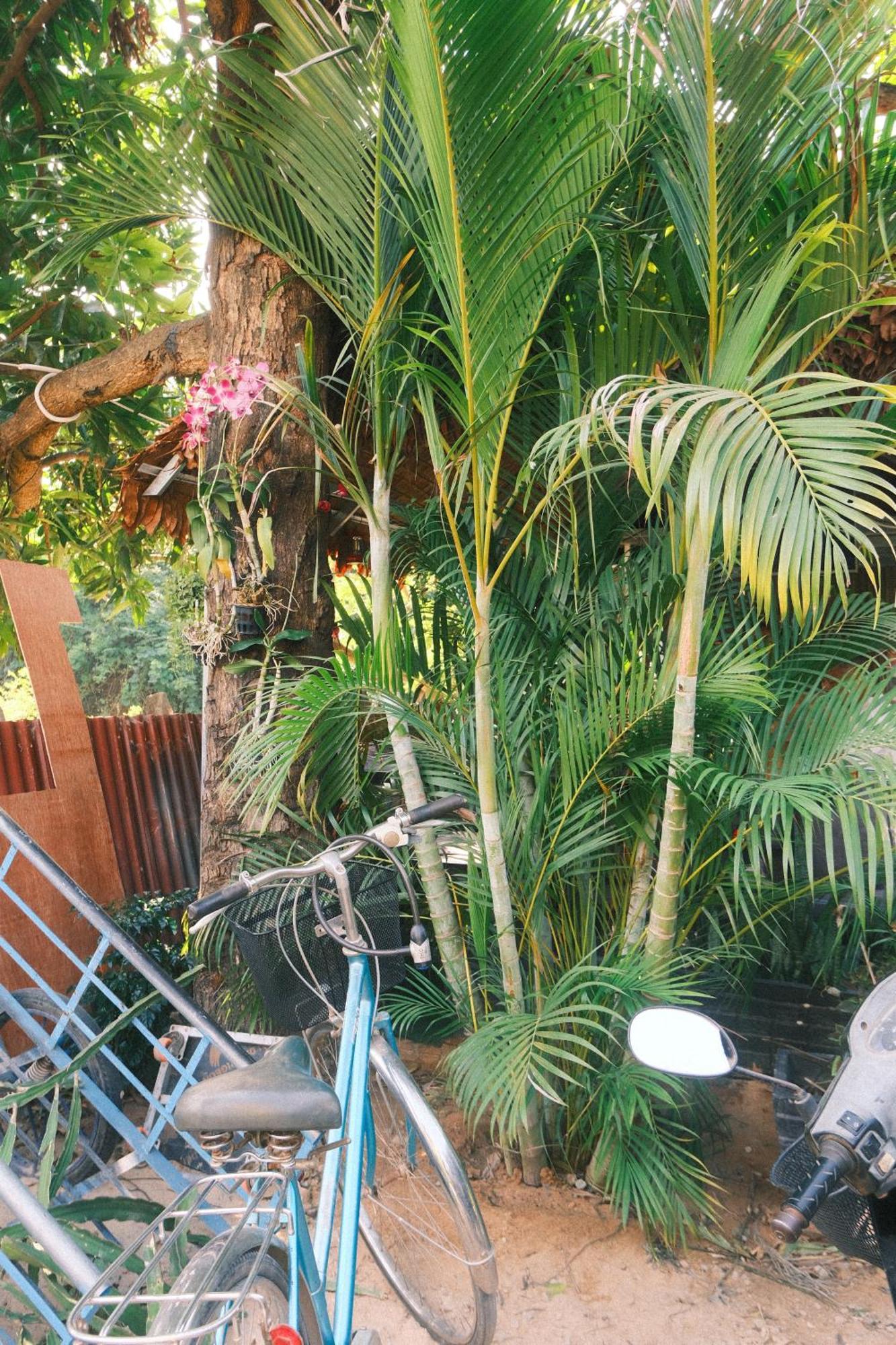 Siem Reap Homesteading ภายนอก รูปภาพ