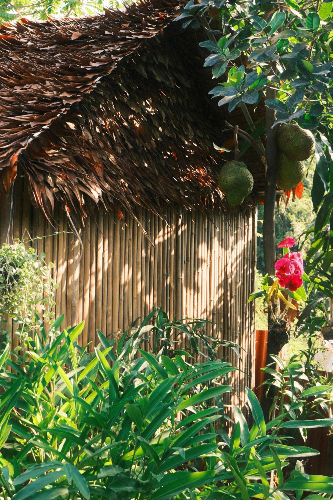 Siem Reap Homesteading ภายนอก รูปภาพ